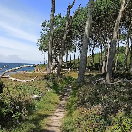 Family For Eight Guests Ferienhaus